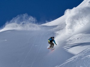 Olympus OM-D