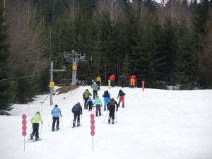 DSCN0982