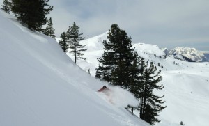 IMG_0451_edited-1