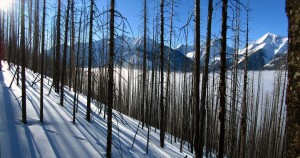 IMG_2036pano2