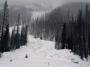 IMG_2202