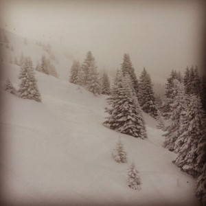 IMG_6633