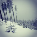 IMG_6923 copy