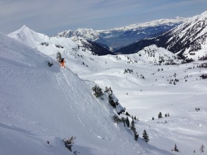 IMG_7313