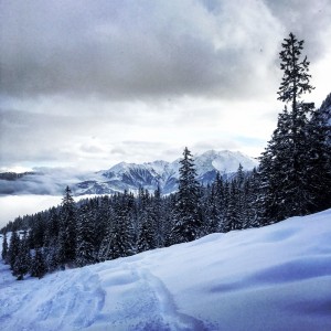 LAAX B_16
