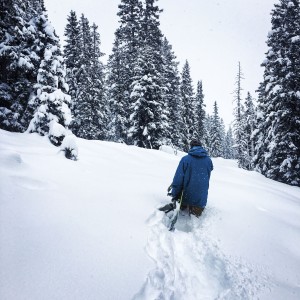 LAAX B_5